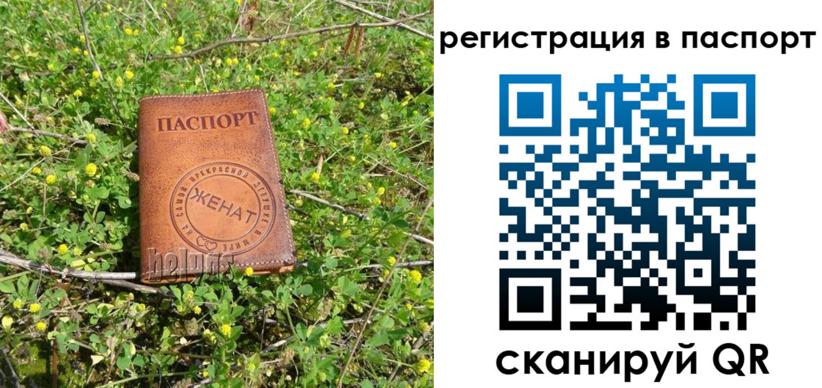 прописка для кредита в Курчатове